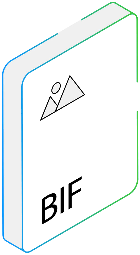 BIF