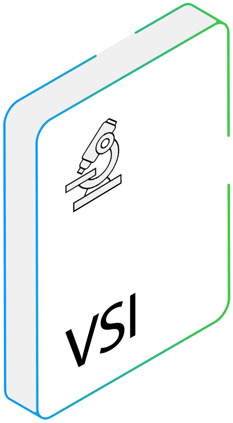 VSI