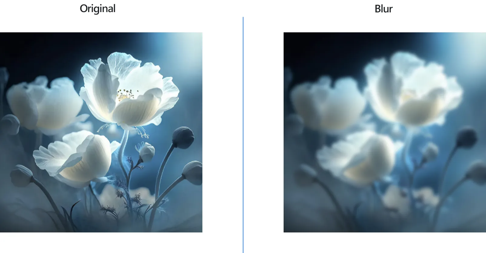 How to blur pictures with reaConverter