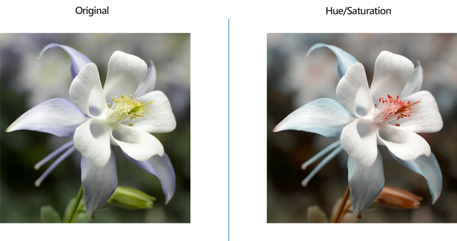 How to change Hue/Saturation with reaConverter