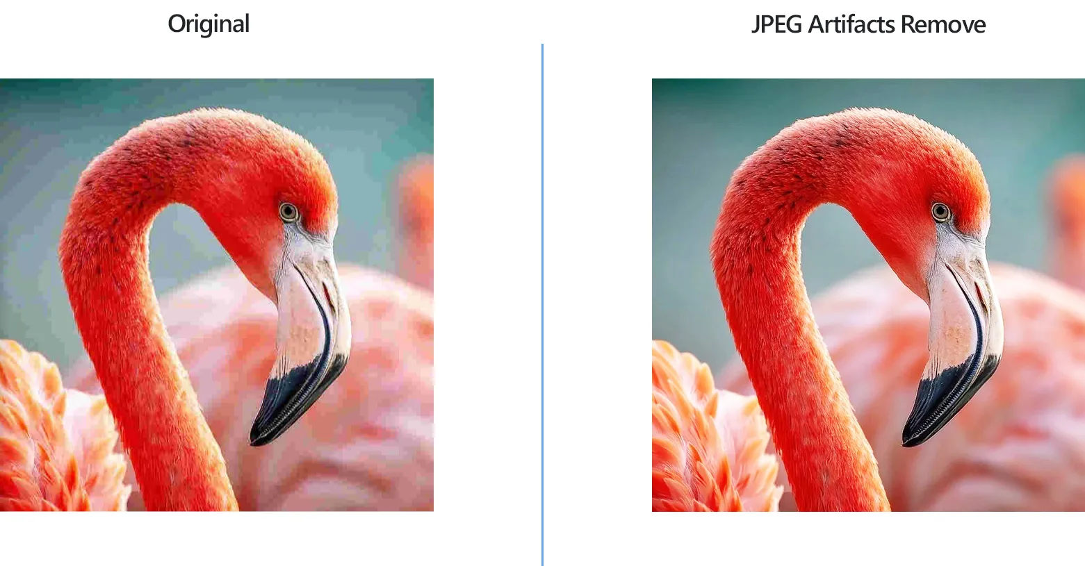 How to remove JPEG artifacts from multiple images in batch