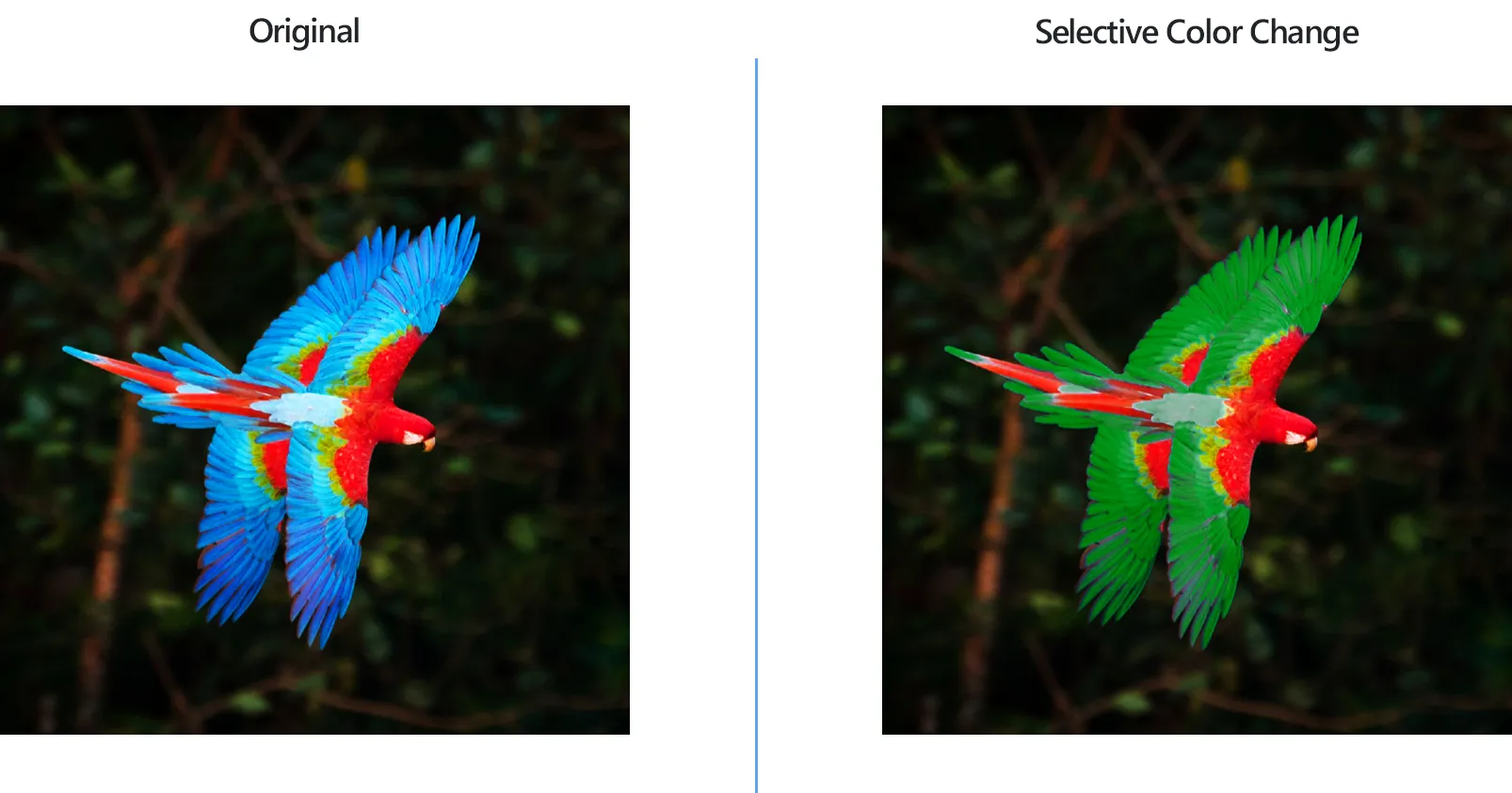 How to change selective color on images in bulk