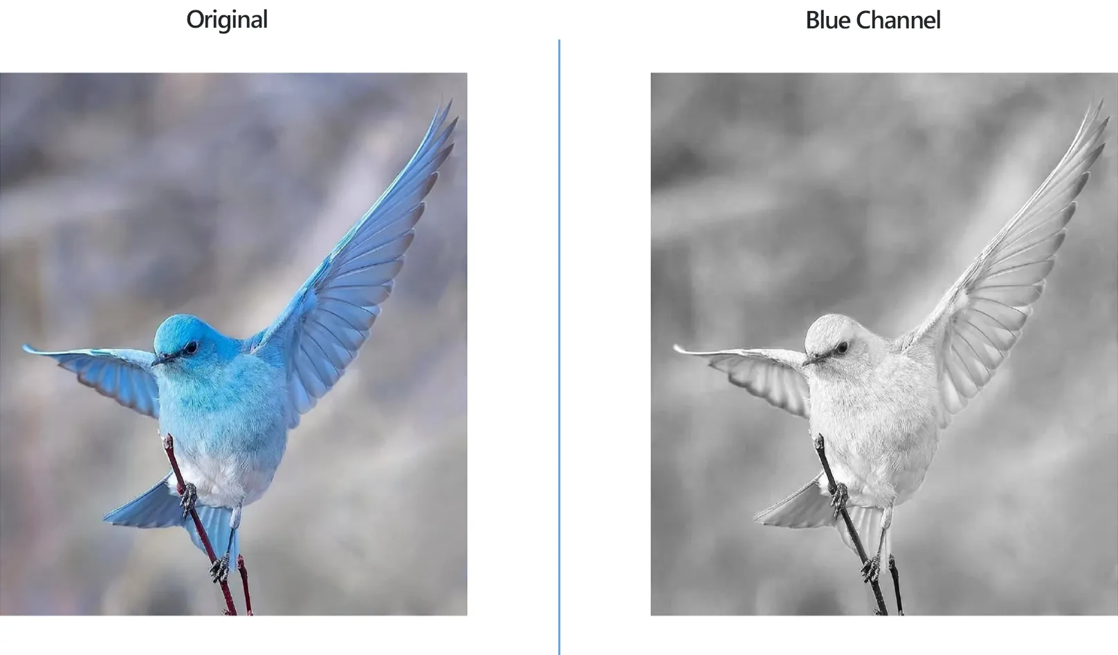How to extract grayscale channels from images using reaConverter