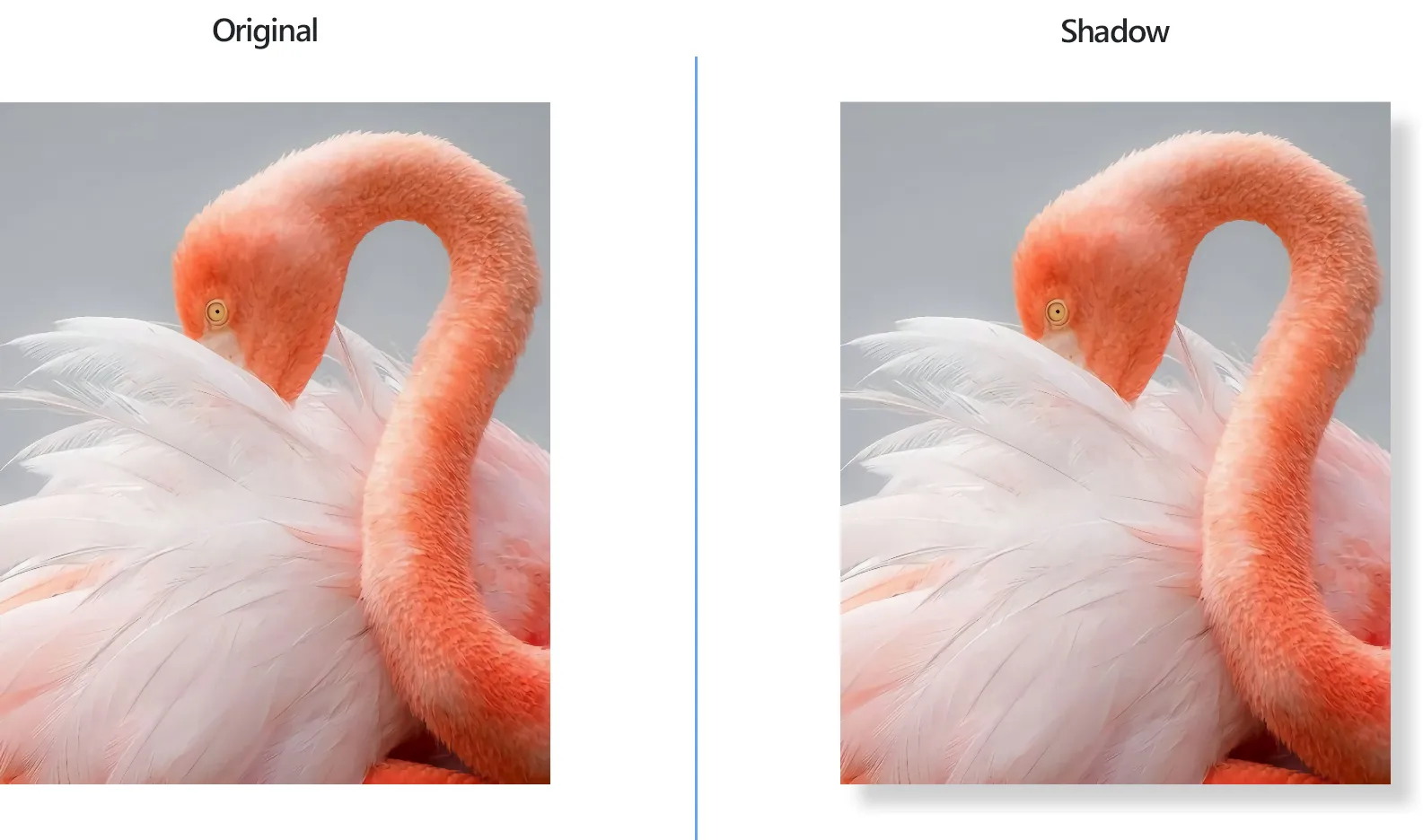 How to add a shadow to multiple images at once